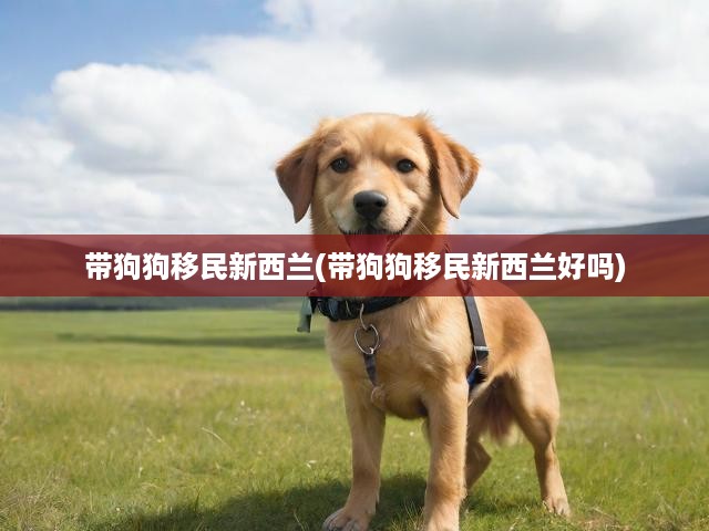 帶狗狗移民新西蘭(帶狗狗移民新西蘭好嗎)