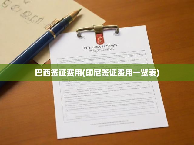 巴西印尼簽證費用大揭秘，最新標準及辦理攻略全解析