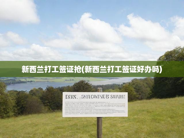 新西蘭打工簽證搶(新西蘭打工簽證好辦嗎)