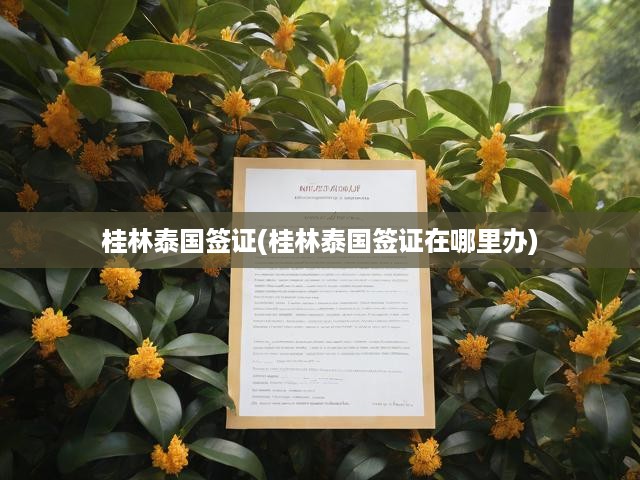 桂林泰國(guó)簽證一站式攻略，申請(qǐng)地點(diǎn)與辦理流程全解析
