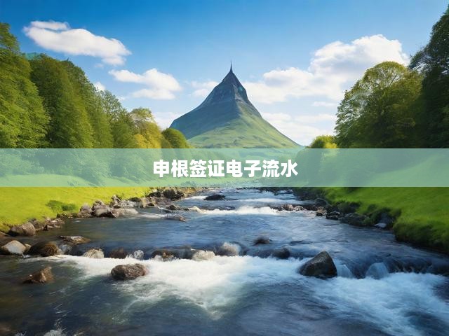 申根簽證電子流水記錄，解鎖便捷旅行時(shí)代的數(shù)字足跡新篇章