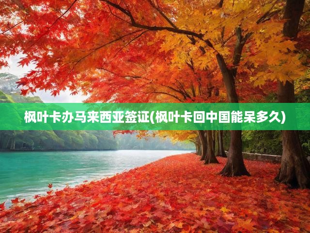 楓葉卡辦馬來西亞簽證(楓葉卡回中國能呆多久)