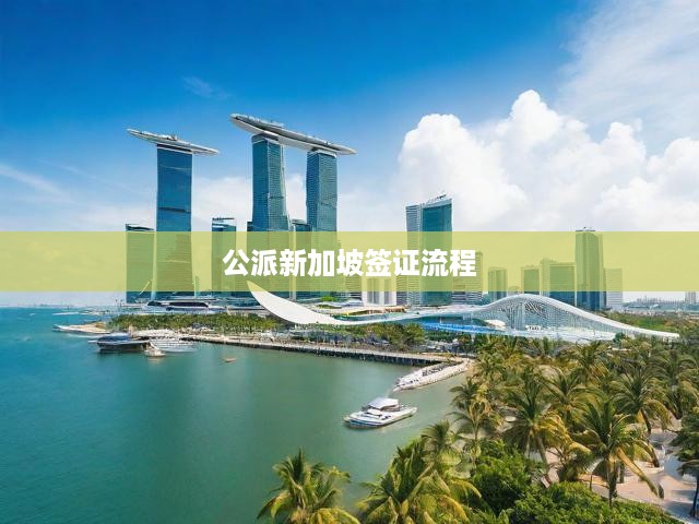 新加坡公派簽證申請指南，全面解析一站式簽證辦理流程