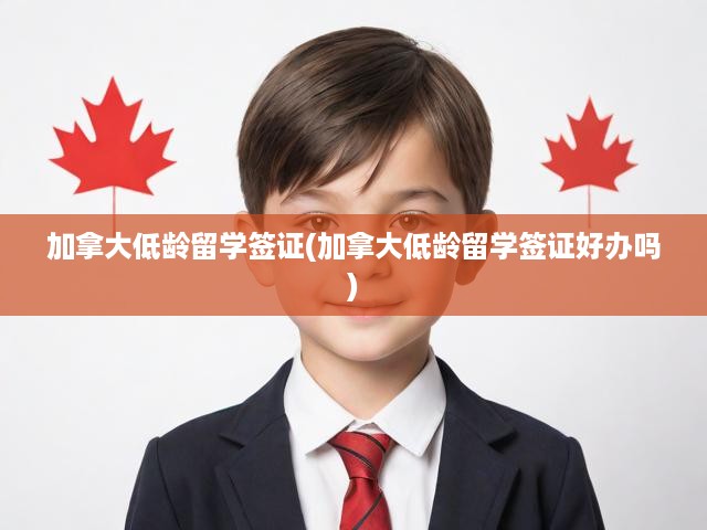 加拿大低齡留學(xué)簽證全攻略，辦理流程、難點(diǎn)解析及必備條件揭秘