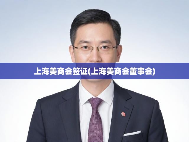 上海美商會簽證全解析，揭秘董事會成員簽證申請之路