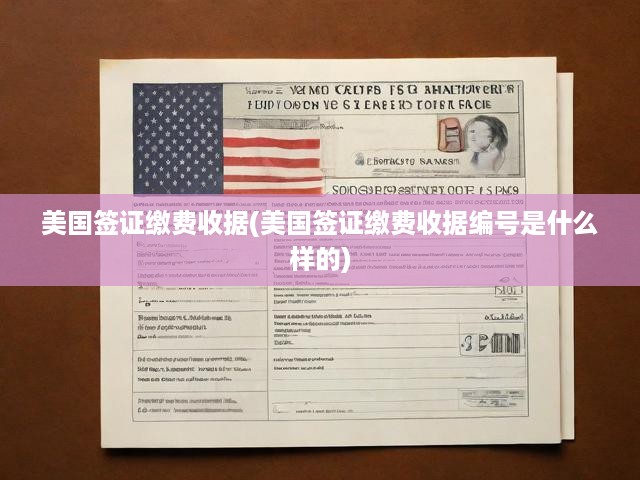美國簽證繳費(fèi)收據(jù)解析，編號(hào)規(guī)則及申請(qǐng)流程全攻略