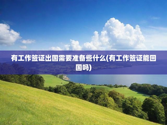 有工作簽證出國需要準(zhǔn)備些什么(有工作簽證能回國嗎)
