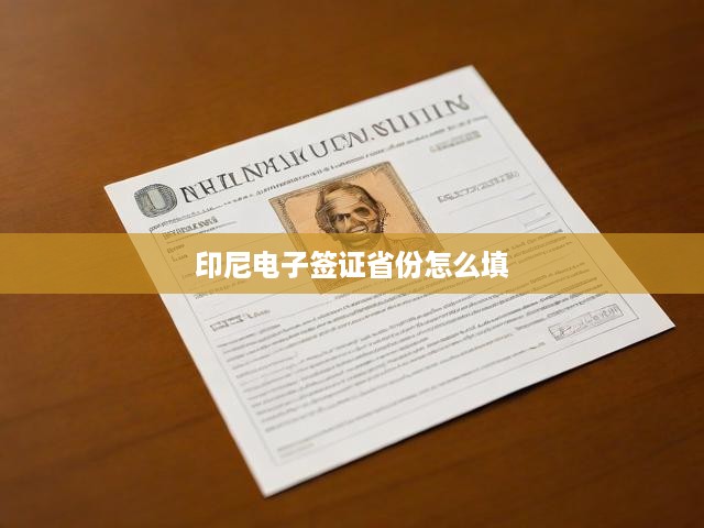 印尼電子簽證省份怎么填