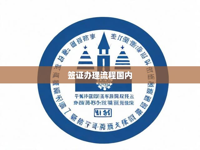 全方位指南，深度解析國內(nèi)簽證辦理流程與關(guān)鍵注意事項(xiàng)