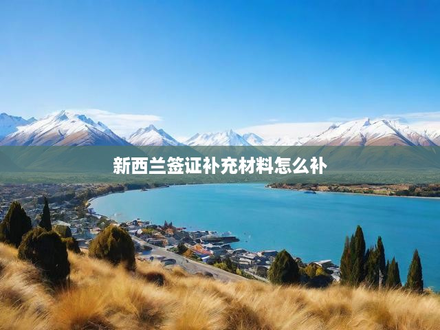 新西蘭簽證補充材料怎么補