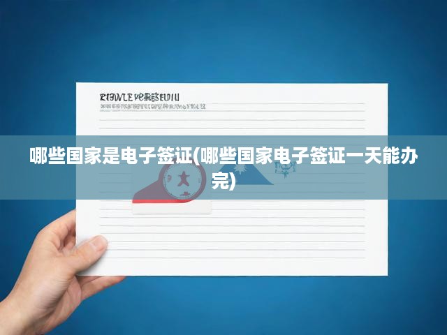 哪些國(guó)家是電子簽證(哪些國(guó)家電子簽證一天能辦完)