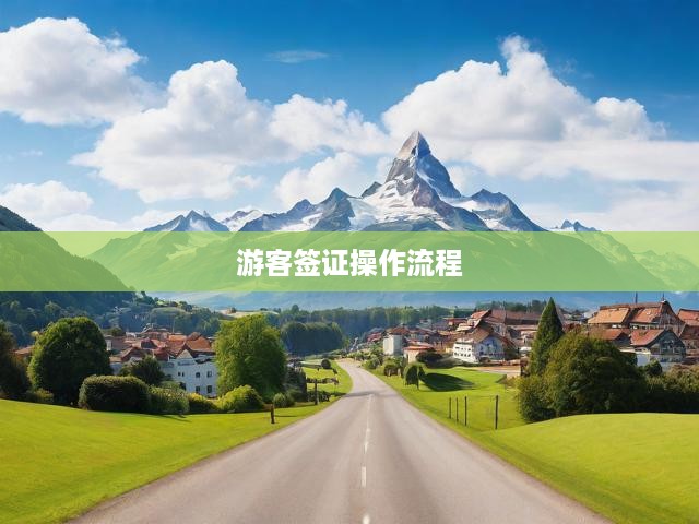 游客簽證申請(qǐng)全攻略，一站式流程解析與批準(zhǔn)秘訣