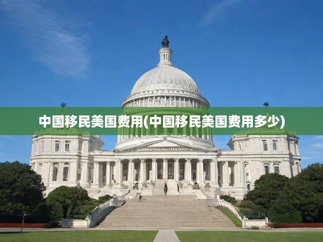 中國移民美國費(fèi)用(中國移民美國費(fèi)用多少)