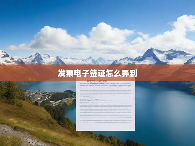 電子簽證發(fā)票操作攻略，簡易流程與實(shí)用技巧全解析