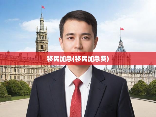 加急移民服務揭秘，手續(xù)辦理費用及快速流程全解析