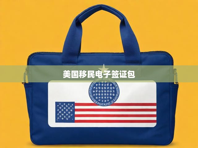 美國(guó)電子簽證申請(qǐng)攻略，詳解便捷流程及必備資料清單
