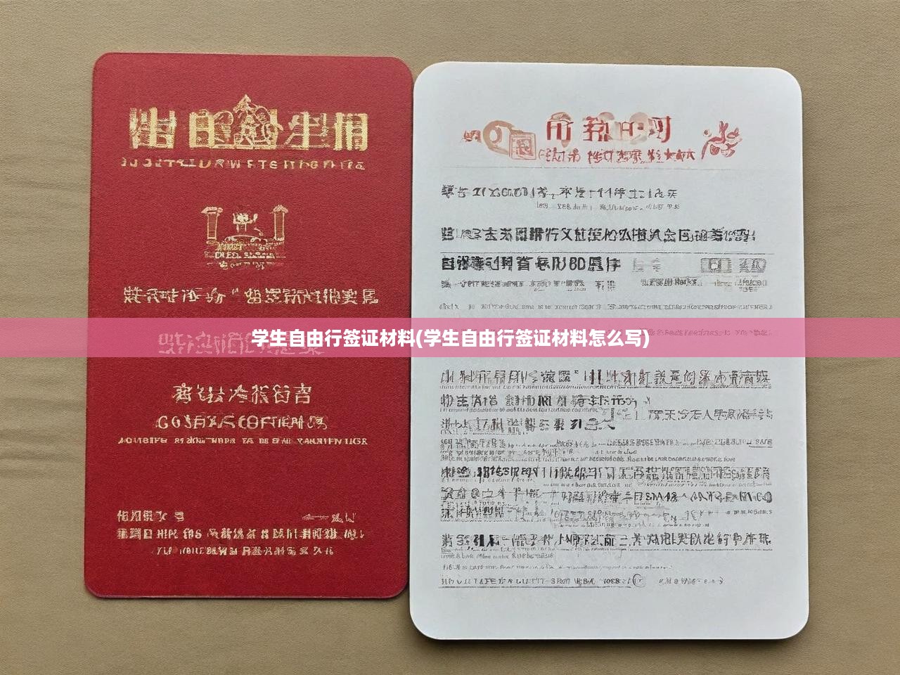 學生自由行簽證全攻略，材料準備與申請流程詳解