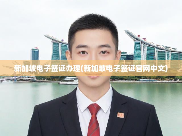 新加坡電子簽證一鍵通關(guān)，官方中文攻略，輕松掌握申請(qǐng)流程