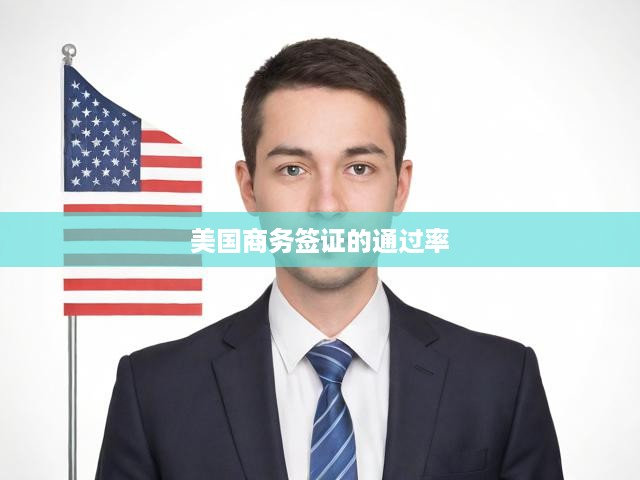 美國商務簽證申請成功率揭秘，影響因素及高效策略全解析