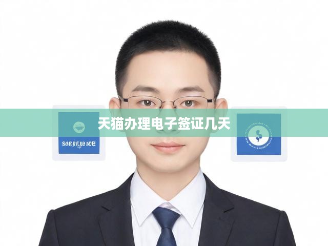 天貓電子簽證辦理全攻略，流程詳解及辦理時效速查