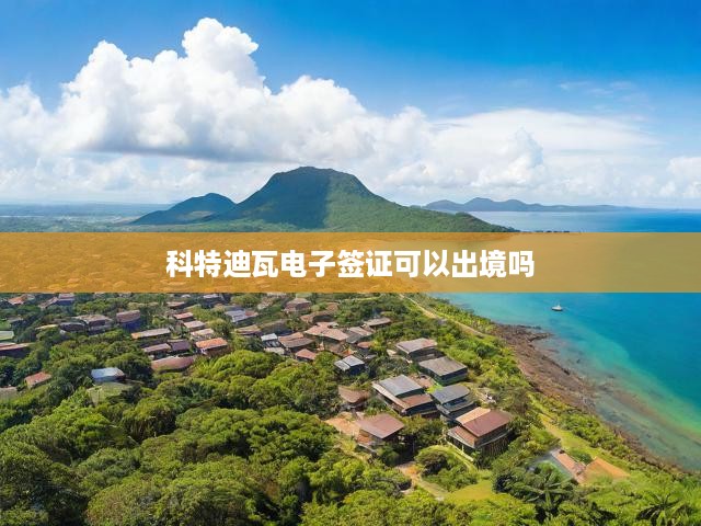 科特迪瓦電子簽證出境攻略，詳解簽證種類、申請步驟及出境須知