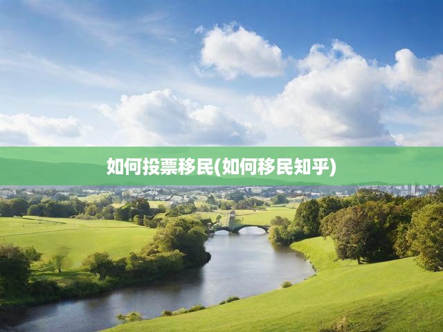 移民投票全攻略，掌握參與秘訣，輕松實(shí)現(xiàn)移民美國夢(mèng)