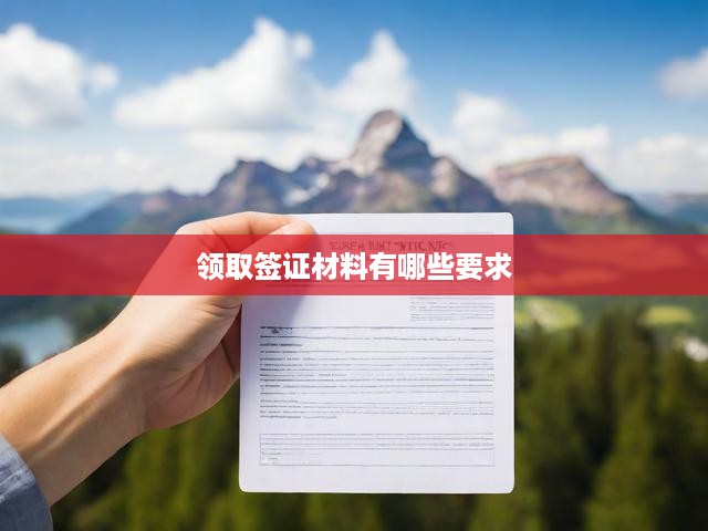 深度解析，簽證材料領取流程及要求全面揭秘