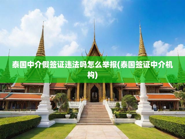 泰國中介假簽證違法嗎怎么舉報(泰國簽證中介機構(gòu))