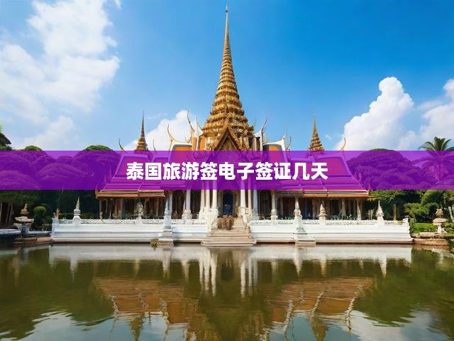 泰國電子旅游簽證辦理全攻略，時(shí)間流程解析，輕松便捷獲簽秘籍