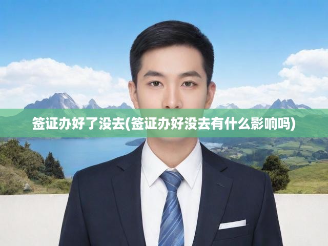 簽證已獲批卻未啟程，詳解未出行影響與潛在后果