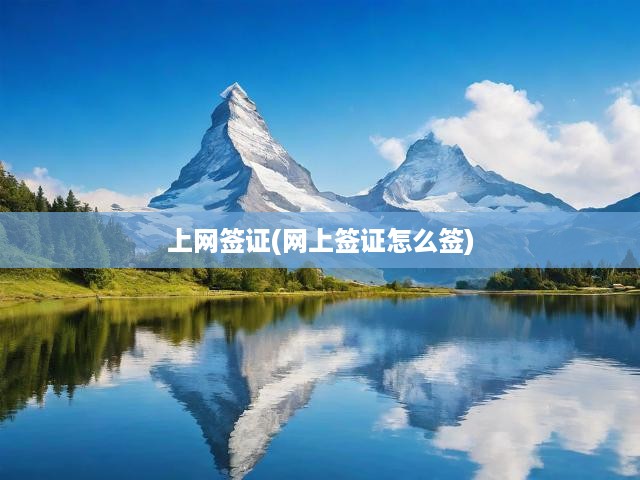 上網(wǎng)簽證(網(wǎng)上簽證怎么簽)
