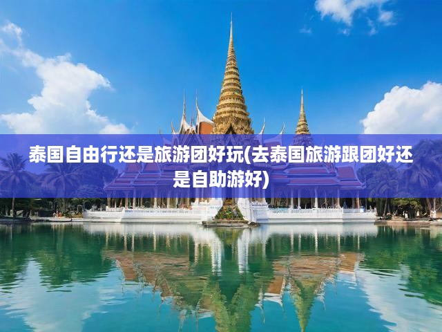 泰國(guó)之旅，自助游VS跟團(tuán)游，揭秘樂趣與選擇差異