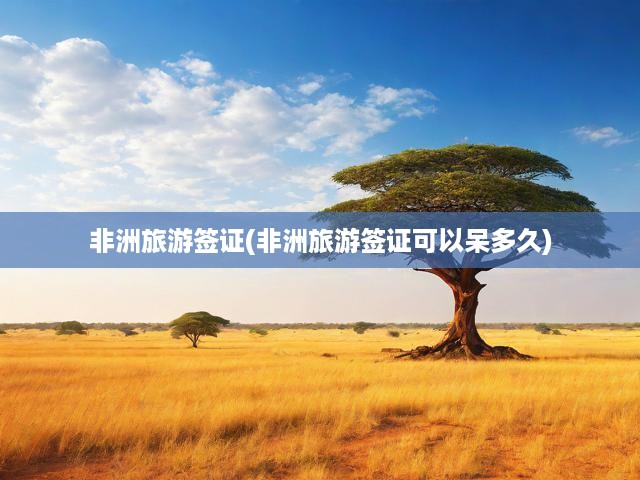 非洲旅游簽證(非洲旅游簽證可以呆多久)