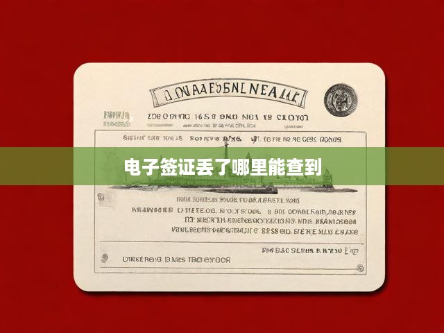 電子簽證丟了哪里能查到