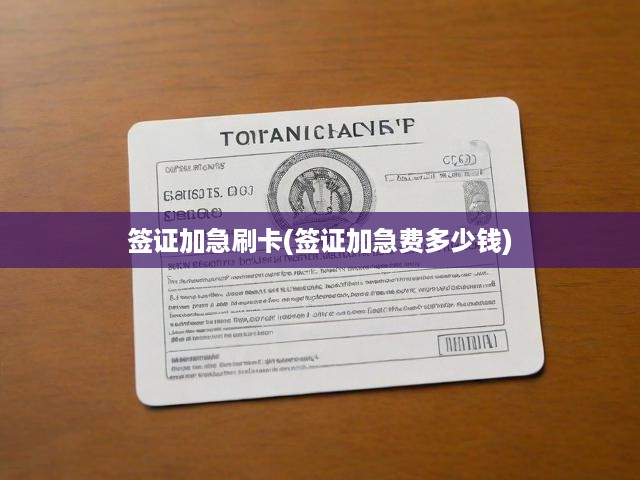 深度解析簽證加急費(fèi)用與刷卡步驟，輕松掌握快速簽證辦理技巧