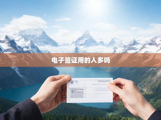 電子簽證用的人多嗎