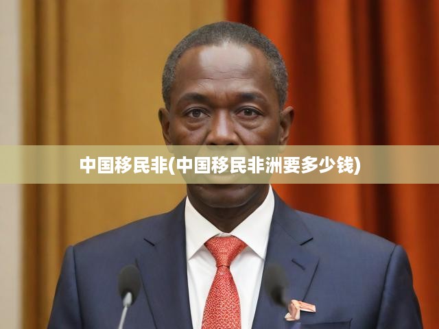 非洲移民大揭秘，中國移民成本全解析，揭秘影響移民決策的關鍵因素