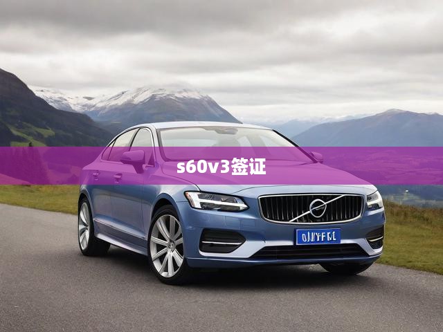S60V3簽證申請(qǐng)攻略，全方位流程解析與關(guān)鍵提示