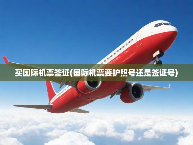 國際機票購買必備，簽證護(hù)照信息揭秘及全程指南