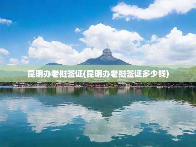 昆明辦老撾簽證(昆明辦老撾簽證多少錢)