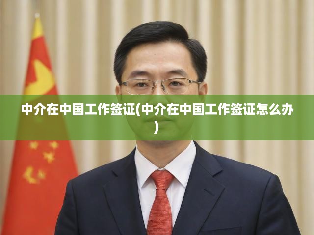 深度解析，中國(guó)工作簽證中介服務(wù)全攻略，流程揭秘與關(guān)鍵要點(diǎn)