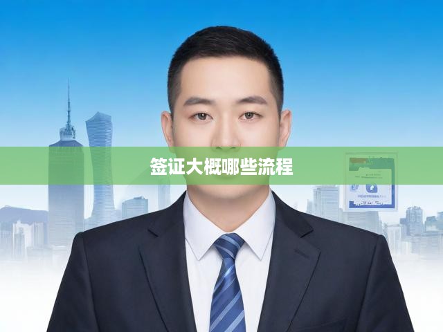 簽證申請(qǐng)攻略，從材料準(zhǔn)備到成功獲簽的全方位流程解析