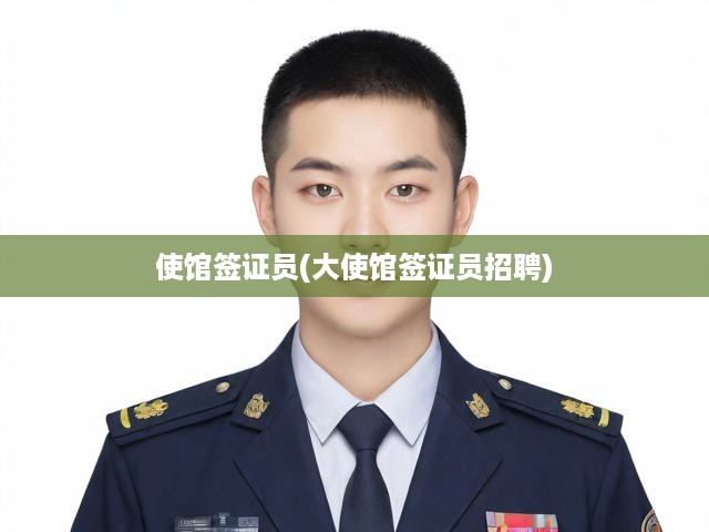 使館簽證員(大使館簽證員招聘)