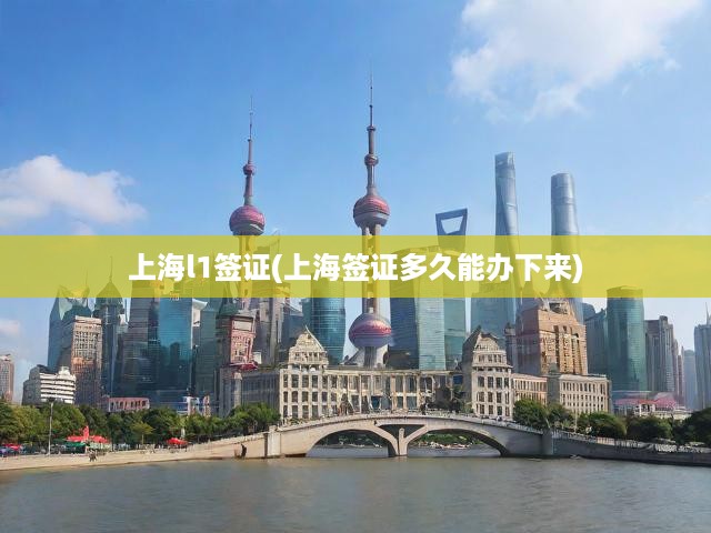 上海L1簽證申請攻略，流程解析與辦理時長揭秘
