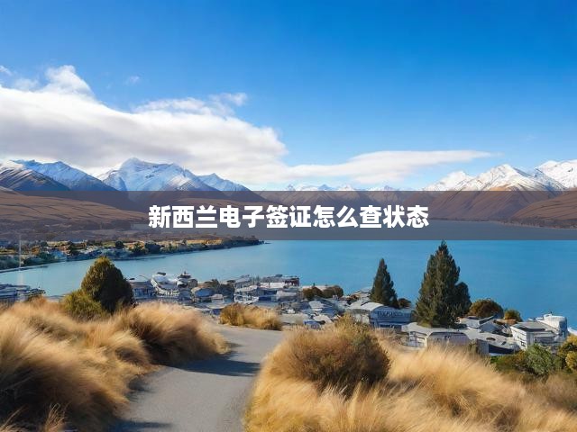 新西蘭電子簽證怎么查狀態(tài)