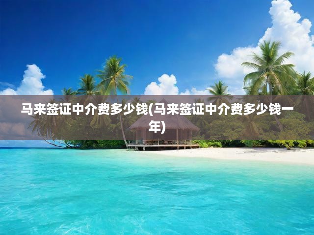 馬來西亞簽證中介費用大揭秘，一年費用明細及申請成本全解析