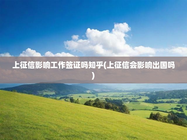 征信如何影響工作簽證與出國？深度解析及熱議探討揭秘