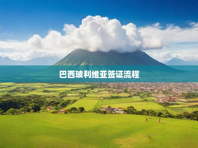 巴西玻利維亞簽證申請全攻略，詳解流程，助您輕松獲批