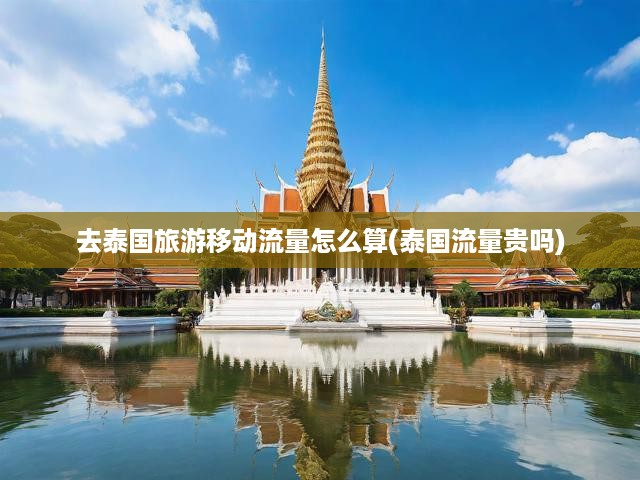 泰國(guó)旅游流量攻略，移動(dòng)數(shù)據(jù)費(fèi)用詳解及省錢技巧