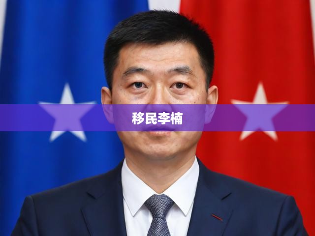 移民李楠，跨文化適應(yīng)與身份重塑的跨國旅程探索